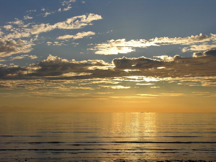 shorebirds_sunset_20